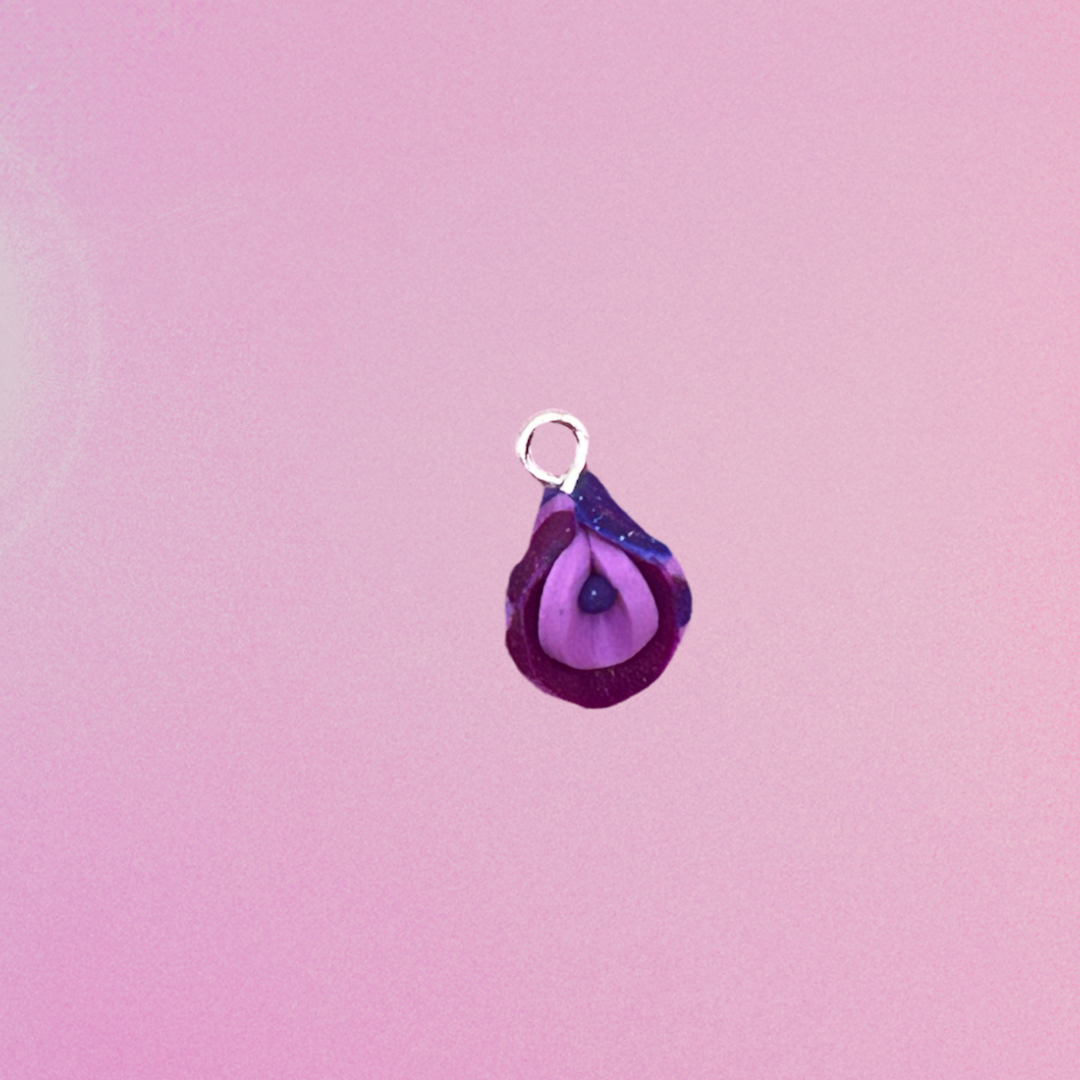 Vulvaa Charms